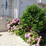 Pojko Apartament
