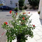 Pojko דוברובניק