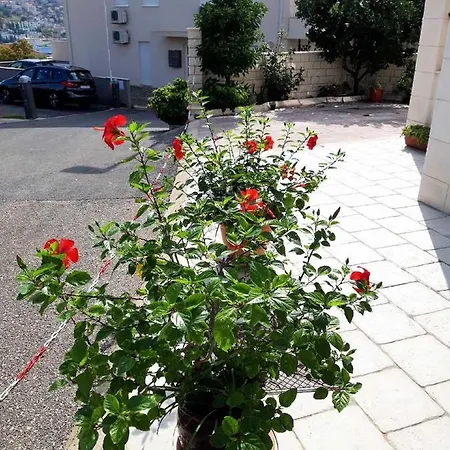 Pojko Ragusa