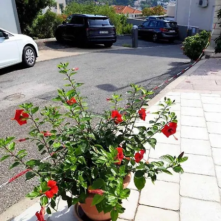 Pojko Apartmán Dubrovník