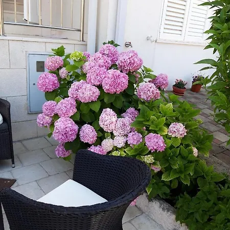 Pojko Apartmán Dubrovník