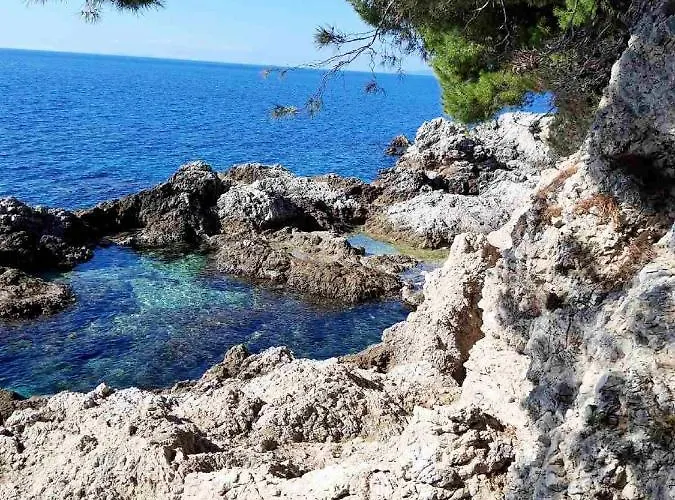 Pojko Апартаменты