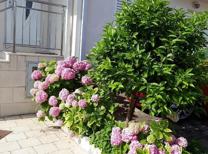 Pojko Апартаменты