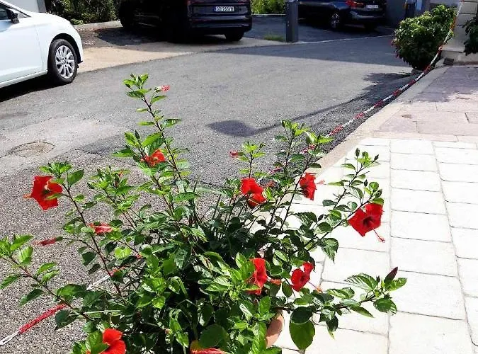 Pojko Apartman Dubrovnik