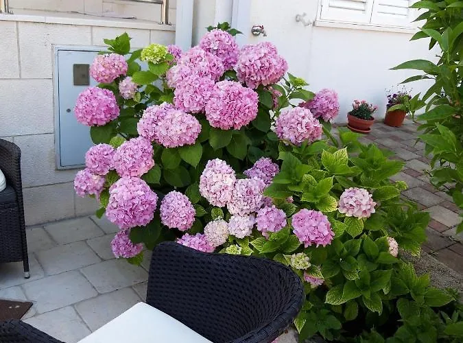 Pojko Appartement Dubrovnik