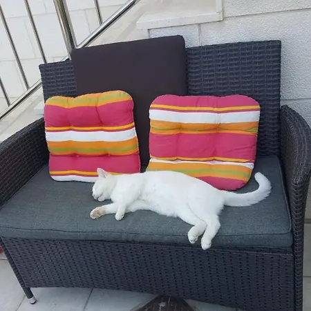 Pojko דוברובניק